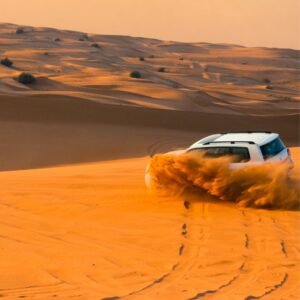 Morning Desert Safari in Abu Dhabi
