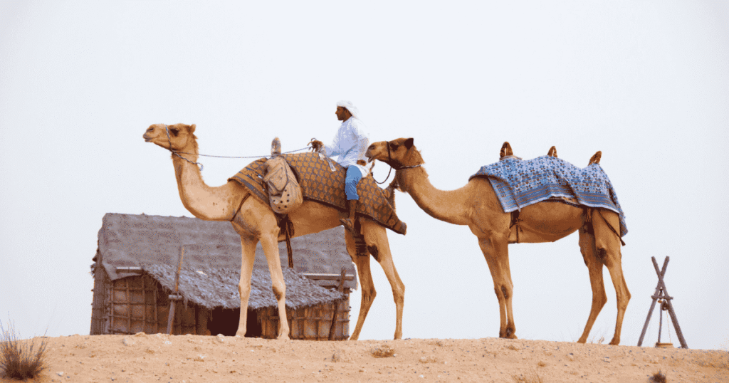 Desert Safari Dubai
